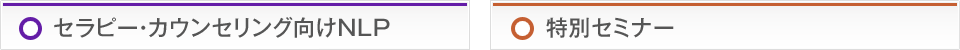 セラピー・カウンセリング向けNLP　特別セミナー